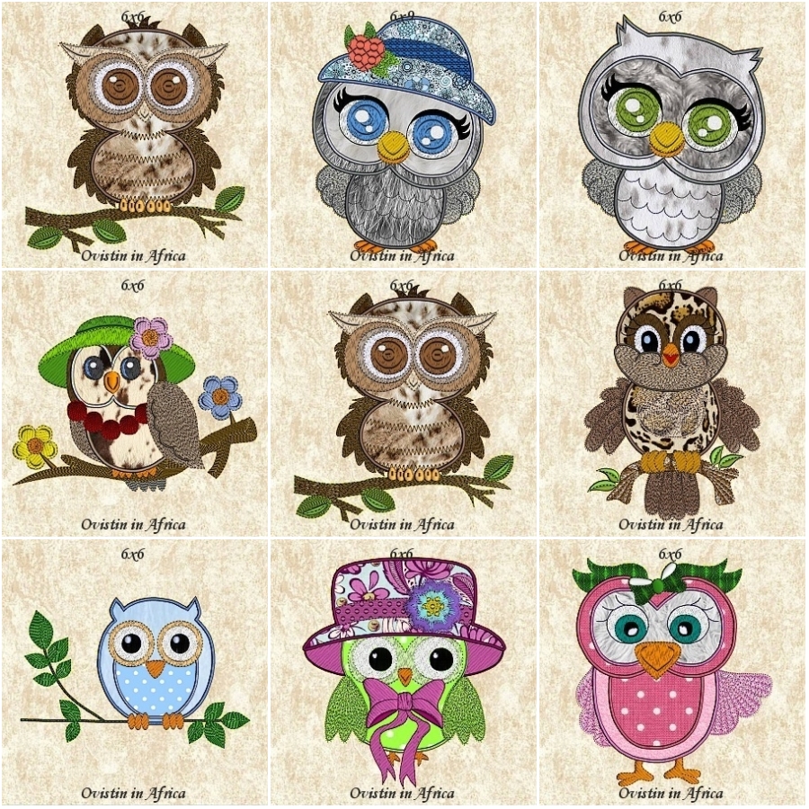 Sassy Owls 6x6  