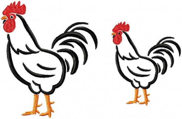 Rooster and Hen-7
