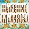 Hatched In Africa
