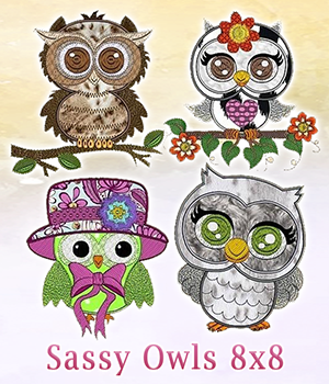 Sassy Owls 8x8