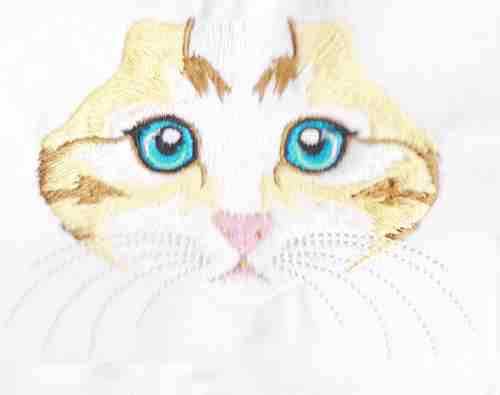 Fetching Feline Faces-3