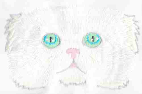 Fetching Feline Faces-4