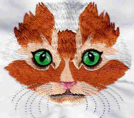 Fetching Feline Faces-5