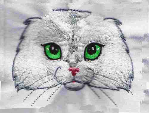 Fetching Feline Faces-6