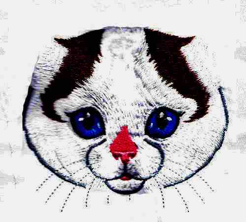 Fetching Feline Faces-7