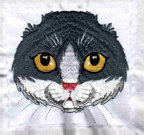 Fetching Feline Faces-8
