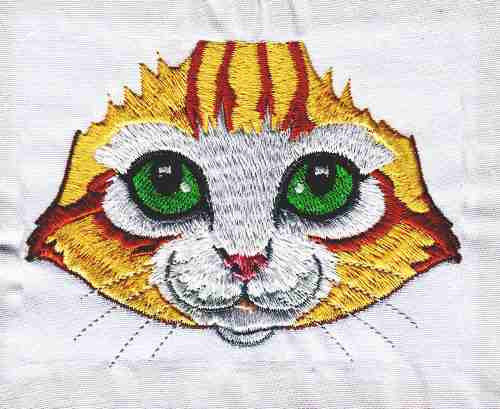 Fetching Feline Faces-9