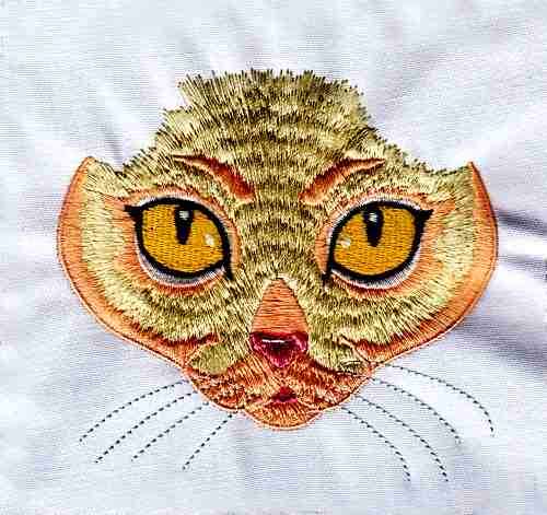 Fetching Feline Faces-10