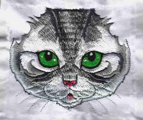 Fetching Feline Faces-11