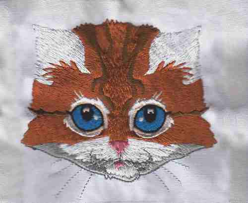 Fetching Feline Faces-12