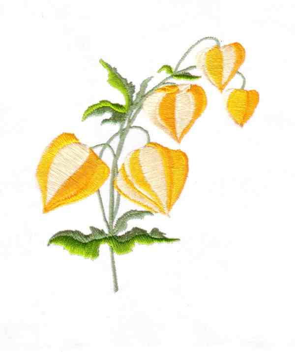 Chinese Flowers-8