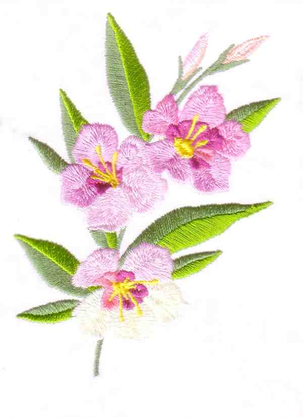 Chinese Flowers-10