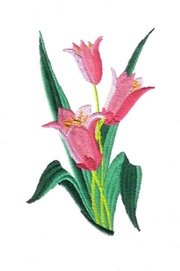 Chinese Flowers-15