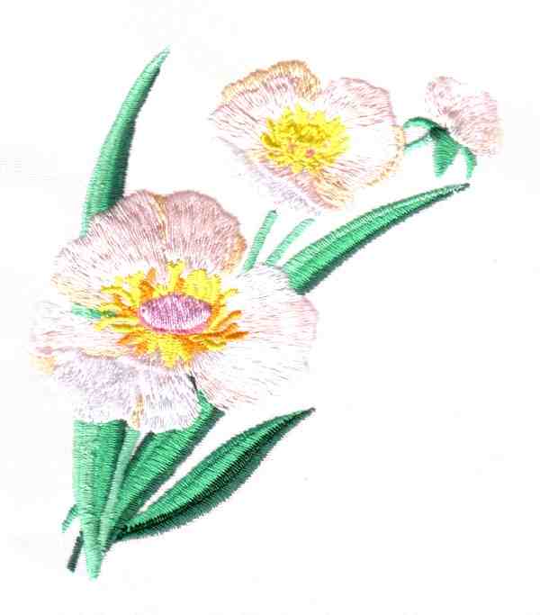 Chinese Flowers-17