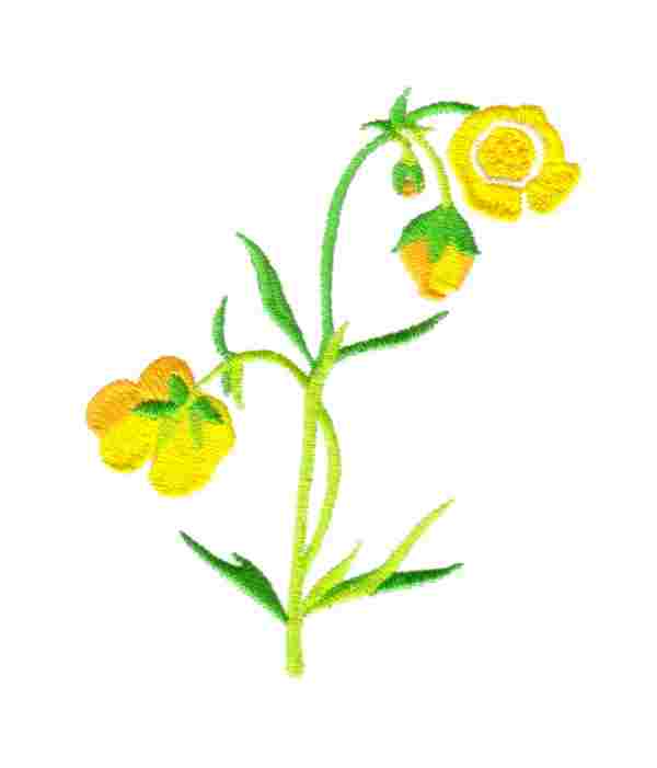 Chinese Flowers-18