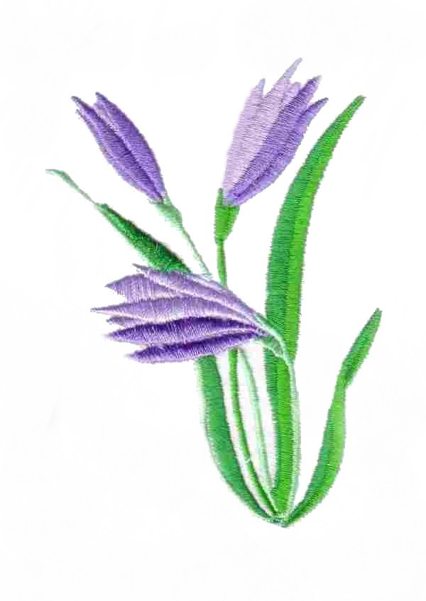 Chinese Flowers-23