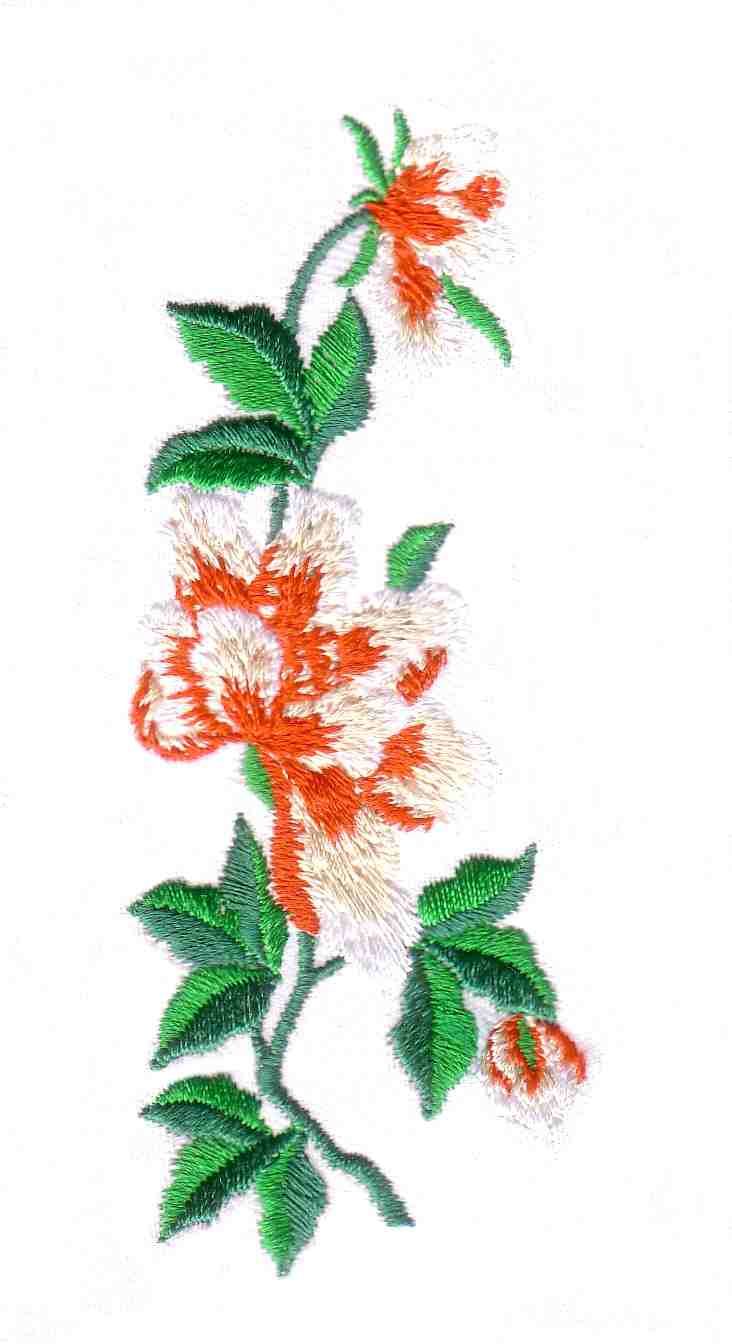Chinese Flowers-24