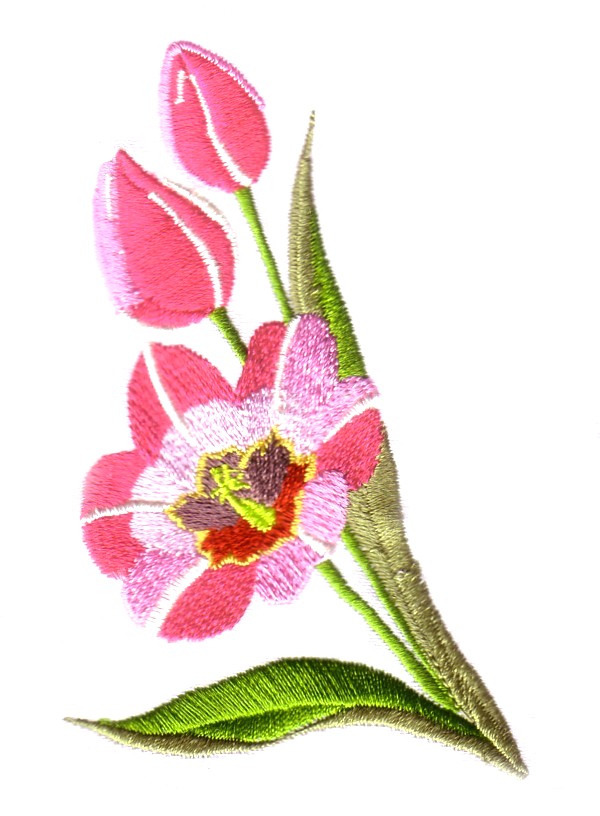 Chinese Flowers-32