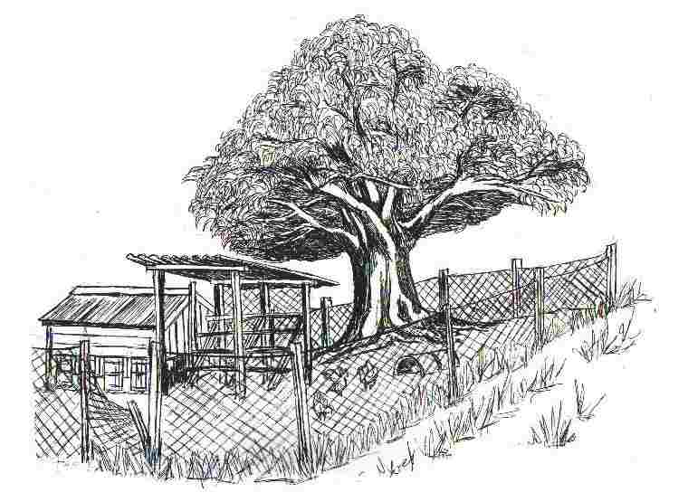 Spirit of the Outback 1-22
