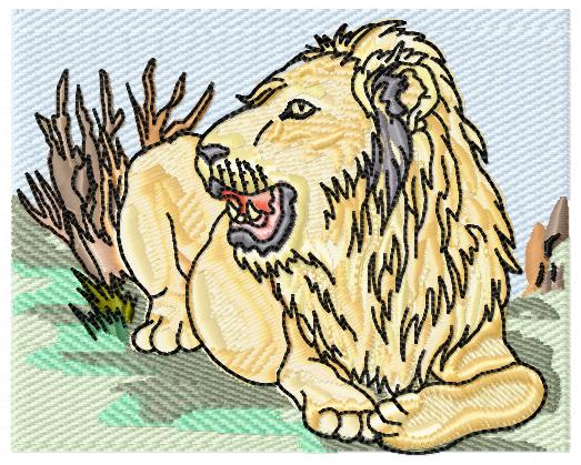 Wild Animals-4
