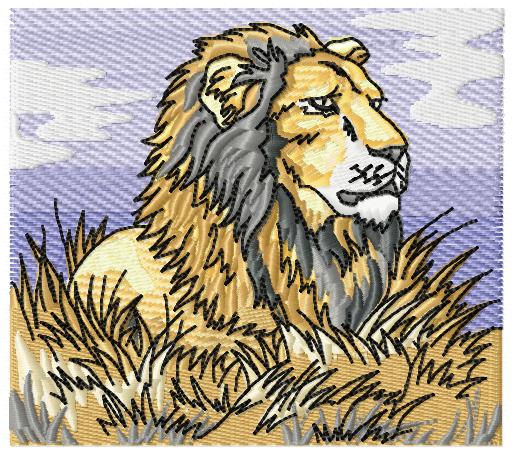 Wild Animals-12