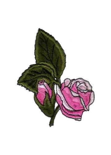 Rose Collection-3