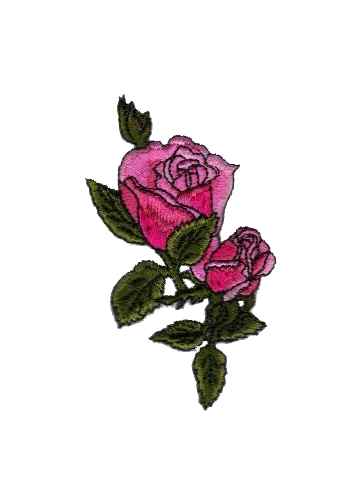 Rose Collection-7