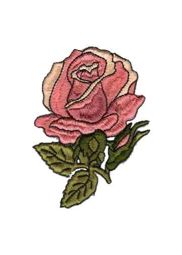 Rose Collection-8