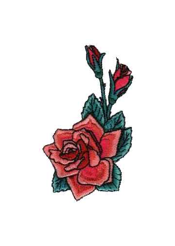 Rose Collection-9