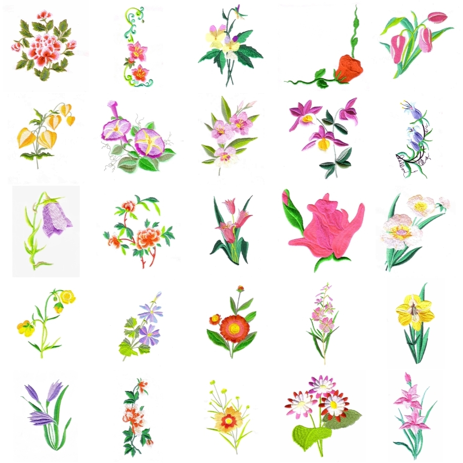 Chinese Flowers