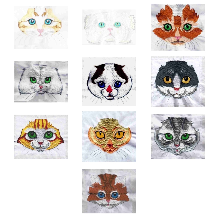 Fetching Feline Faces