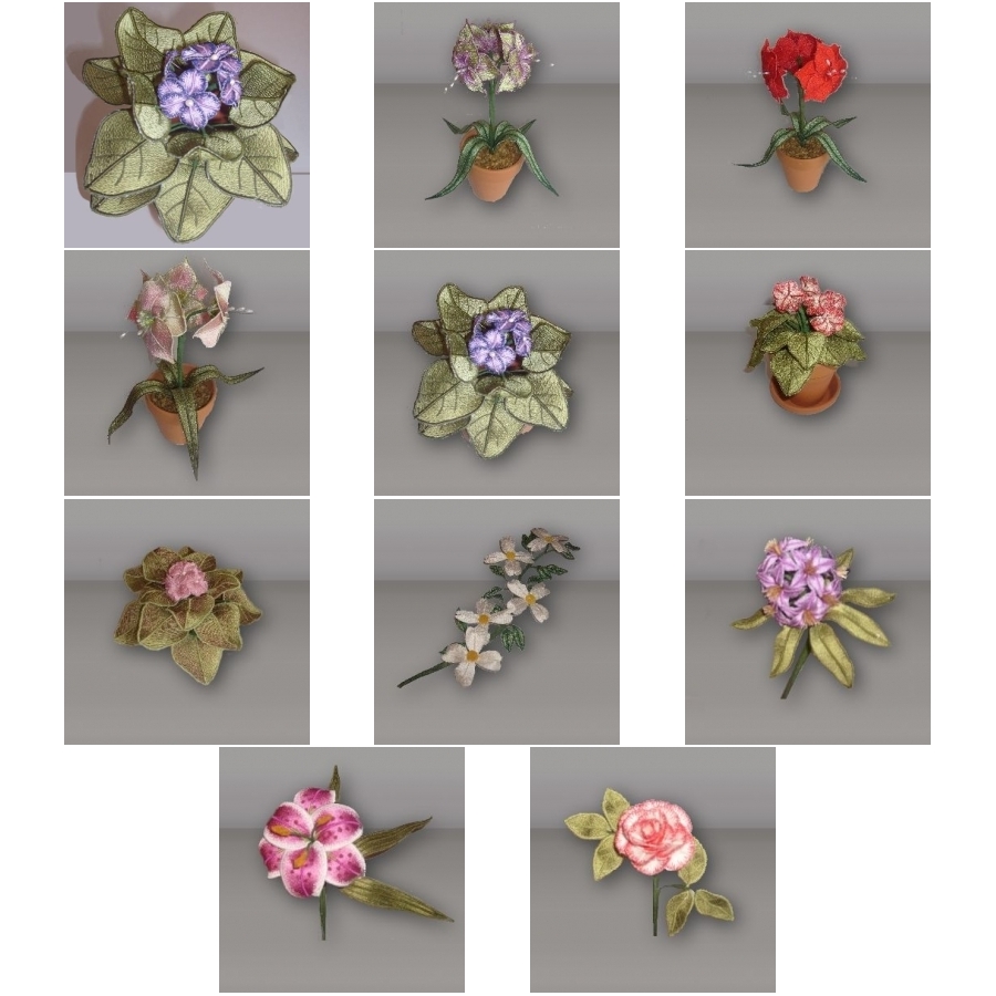 PAMS FLOWERS COLLECTION 7 