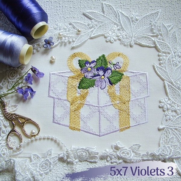 violet lace flower floral daisy