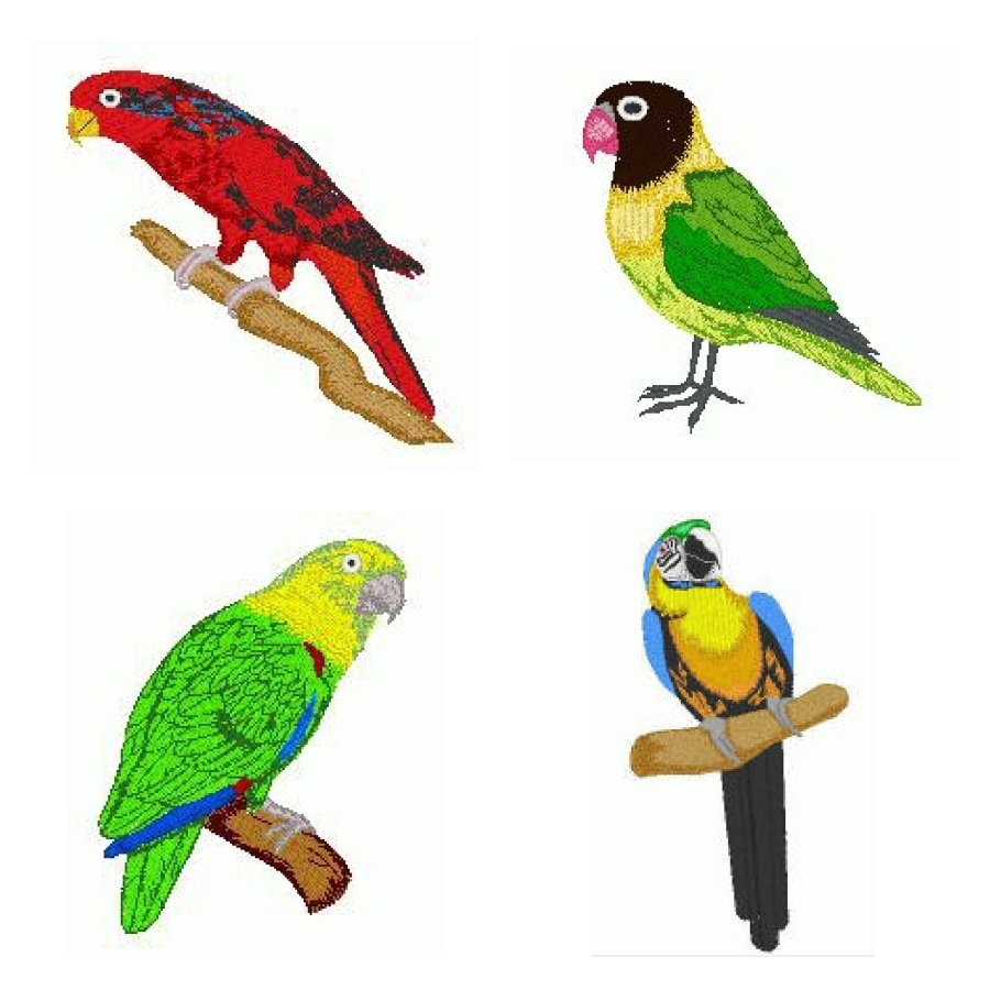 Parrots