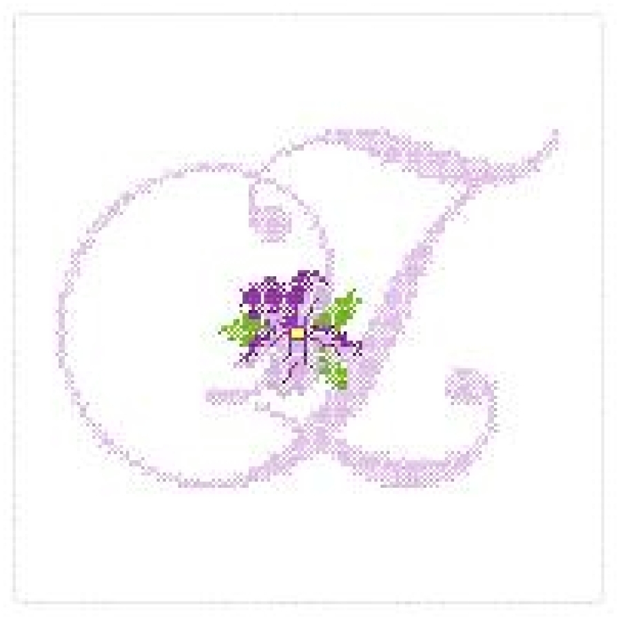 XS Violet Alphabet 1