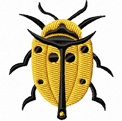 Beetle 129 