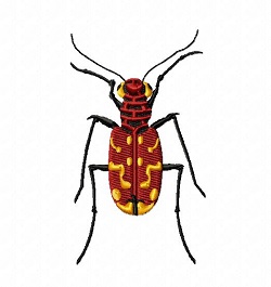 Beetle 154 