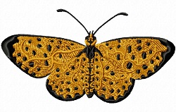 Polka Dot Butterfly 