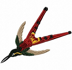 Red-tailed Comet 