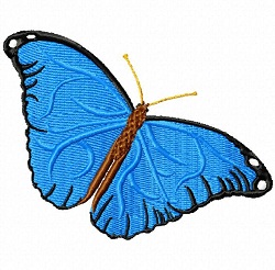 Morpho Butterfly 