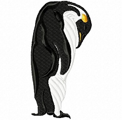 Emperor Penguin 