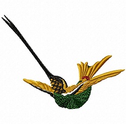 Sword-billed Hummingbird 