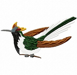 Horned Sungem Hummingbird 