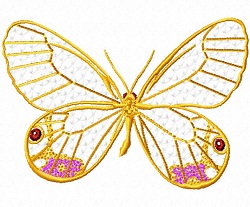 Esmeralda Butterfly 