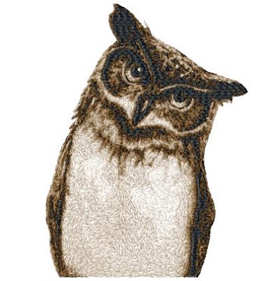 Owl 3 