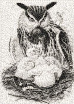 Owls 2 