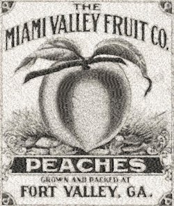 Peach Label 