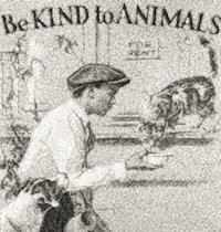 Be Kind To Animals 