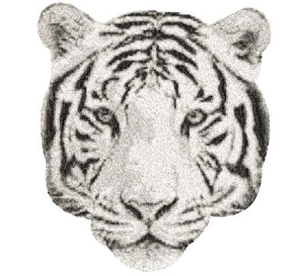 Tiger 2 