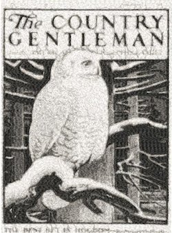 Country Gentlemen c1934 